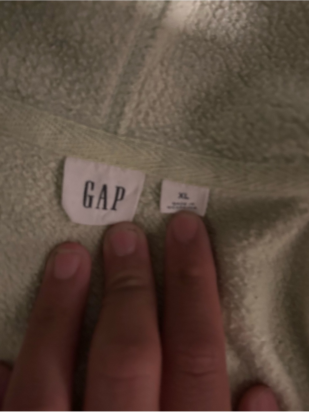 GAP Plush Sage Green Hoodie